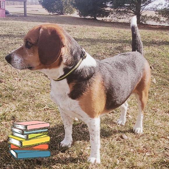 Meet your Posher, Kristie - Picture 7 of 7